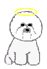 halo